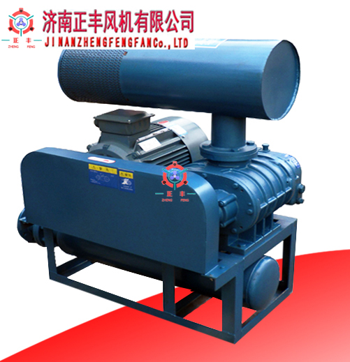 ZFSR-MJ系列密集型羅茨鼓風(fēng)機(jī)