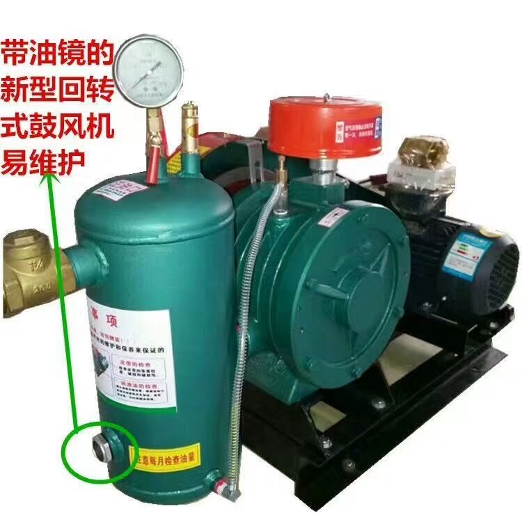 羅茨鼓風(fēng)機(jī)軸承的維護(hù)方法