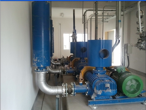 電廠用羅茨鼓風機(圖1)